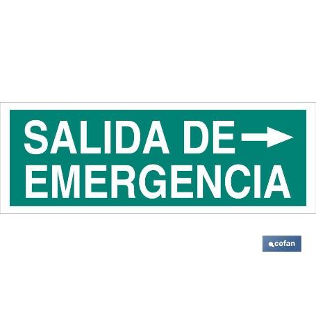 SEÑAL LUMINISCENTE 400X100MM. SALIDA DE EMERGENCIA TEXTO