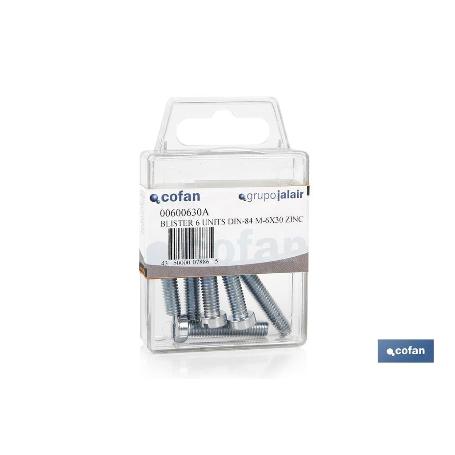 BL 6 UDS. DIN-84 M-6X20 Z   CAJA 12 UNID.