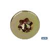 DIN 7505A TORX (T-10) M-3X20   CAJA 500 UNID.