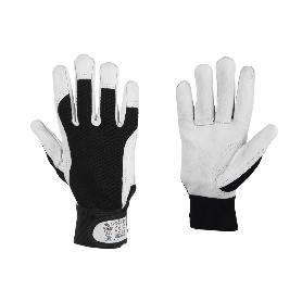 BLISTER G. VACUNO DORSO TELA + VELCRO T-10   CAJA 12 UNID.