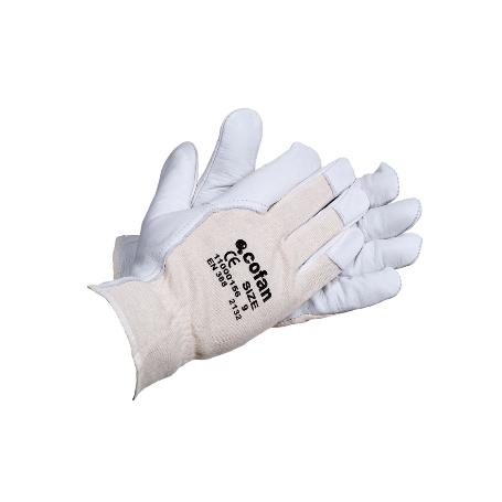 BLISTER G. PIEL V .DORSO DESCUB. T-6   CAJA 12 UNID.