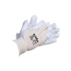 BLISTER G. PIEL V .DORSO DESCUB. T-7   CAJA 12 UNID.