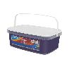 PINTURA PLÁSTICA MONOCAPA VIOLETA (2,5 LT)
