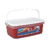 PINTURA PLÁSTICA MONOCAPA ROJO DIABLO (2,5 LT)