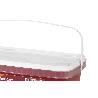 PINTURA PLÁSTICA MONOCAPA ROJO DIABLO (2,5 LT)