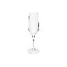 PACK DE 6 COPAS  DE CHAMPAGNE 23 CL MODELO ÁGATA
