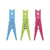 PACK 24 UDS PINZAS PLÁSTICO STANDAR 7CM