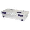 CAJA ORDENACION CON RUEDAS 36L MODELO RICORDI 59X40X25CM