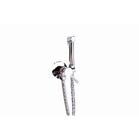 DUCHA HIGIÉNICA PARA INODORO AGUA FRÍA Y CALIENTE COLOR INOX 13 X 7,5 X 10 CM
