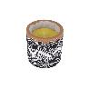 VELA AROMÁTICA DE CITRONELA MACETA DECORADA  170 G   CAJA 6 UNID.