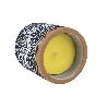 VELA AROMÁTICA DE CITRONELA MACETA DECORADA  170 G