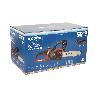 MOTOSIERRA A BATERÍA LI-ION 20 V 3000 RPM MINI ESPADA 10