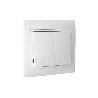 DOBLE INTERRUPTOR-CONMUTADOR EMPOTRAR MODELO PACIFIC (BL)
