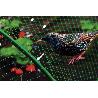MALLA ANTIPAJAROS 4X6M 7G/M2