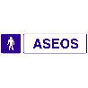 SEÑAL GLASSPACK ADHESIVA 250X62MM. ASEOS