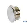 TAPON HEX. ROSCA MACHO R-3/4 VENTA UNITARIA