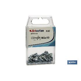 BL 40 UDS. DIN-963  M-3X10   CAJA 12 UNID.